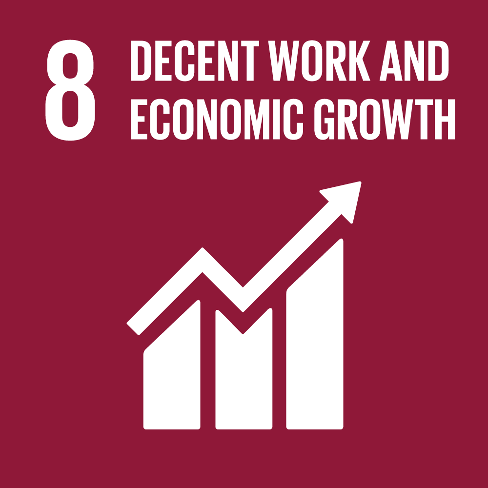 sdg8